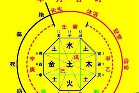 喜用神火木|八字喜用神为木火：五行旺衰与生活决策指南